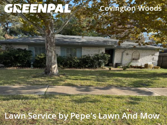 Lawn Maintenancein Sugar Land,77498,Lawn Mow by Pepe's Lawn And Mow, work completed in Jan , 2026