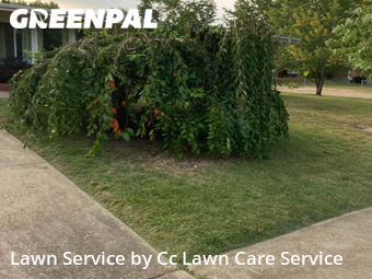 Yard Mowing nearby Overland, MO, 