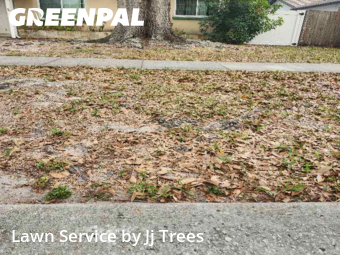 Grass Cuttingin Clearwater,33760,Lawn Cutting by Jj Trees, work completed in Feb , 2026