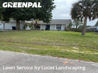 Grass Cut nearby Palm Bay, FL, 