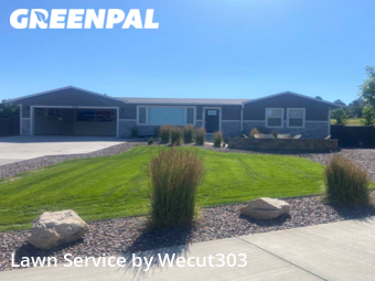 Grass Cut nearby Aurora, CO, 