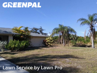 Yard Grooming in Venice, 34293, Property Maintenance by Lawn Pro, work completed in Dec , 2025