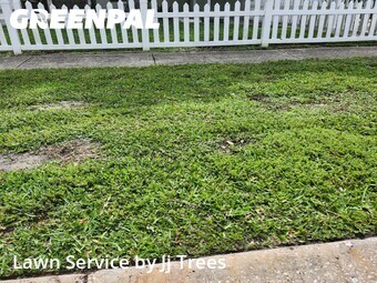 Yard Mowing nearby Clearwater, FL, 