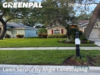 Lawn Cutting nearby Holiday, FL, 