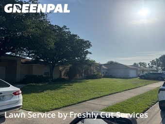 Lawn Mow nearby Lakeland, FL, 