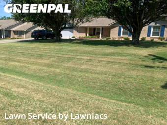 Lawn Maintenance nearby Harvest, AL, 