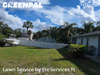 Lawn Cuttingin Palm Harbor,34683,Lawn Mowing by Etc Services Fl, work completed in Nov , 2025