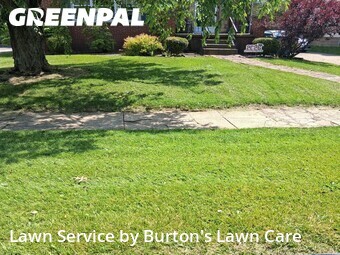 Lawn Care nearby Youngstown, PA, 