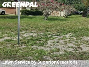 Lawn Cutting nearby Spring Hill, FL, 