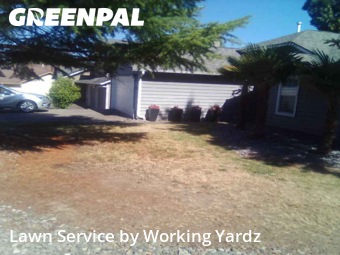 Yard Services in Federal Way, 98023, Lawn Care by Working Yardz, work completed in Nov , 2025