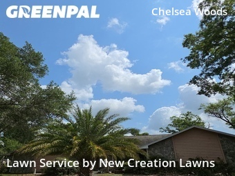 Grass Cutting nearby Valrico, FL, 