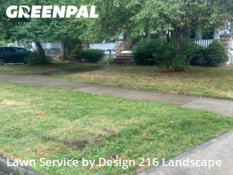 Grass Cutting nearby Lakewood, OH, 