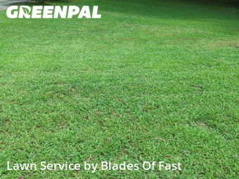 Yard Mowing nearby East Point, GA, 