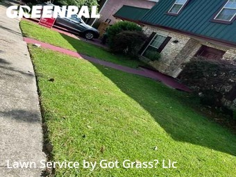 Grass Cut nearby Metairie, LA, 