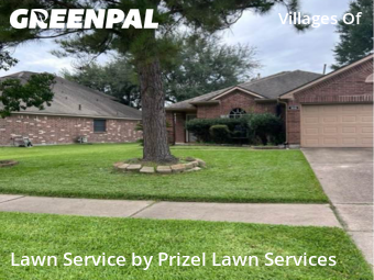 Lawn Carein Rosenberg,77471,Yard Mowing by Prizel Lawn Services, work completed in Nov , 2025