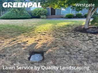 Yard Care Services in Edmonds, 98020, Yard Grooming by Quality Landscaping, work completed in Nov , 2025