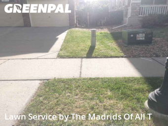 Grass Cut nearby Timnath, CO, 