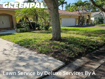 Yard Grooming in Coconut Creek, 33073, Lawn Mowing by Deluxe Services By A, work completed in Dec , 2025