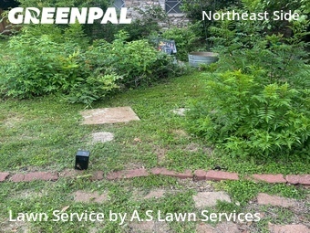 Lawn Mowing nearby Converse, TX, 