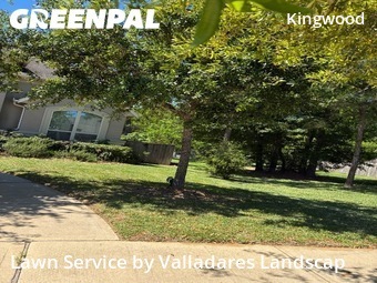 Grass Cut nearby Houston, TX, 