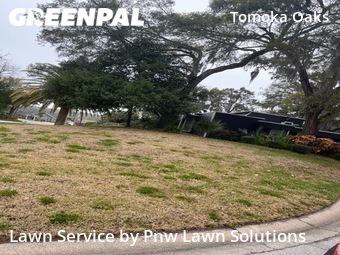 Grass Cutting nearby Ormond Beach, FL, 