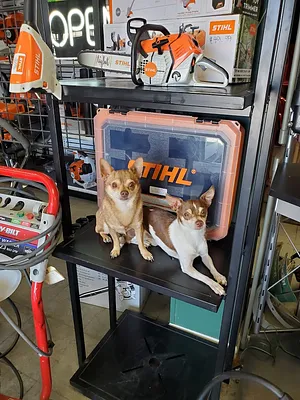 Hesperia Outdoor Power Equipment Photo 10