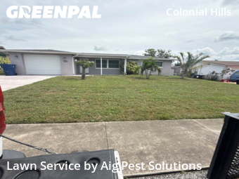 Grass Cut nearby New Prt Rchy, FL, 