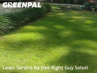 Lawn Cut nearby Irmo, SC, 