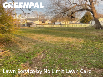 Lawn Maintenance in Granite City, 62040, Backyard Mowing by No Limit Lawn Care, work completed in Dec , 2025