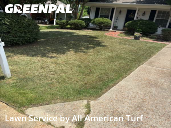 Grass Cut nearby Brandon, MS, 