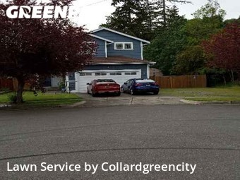 Lawn Mowing Service nearby Tacoma, WA, 