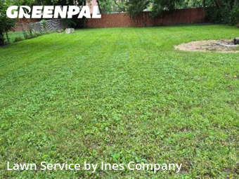 Lawn Management in Oak Forest, 60452, Garden Trimming by Ines Company, work completed in Oct , 2025