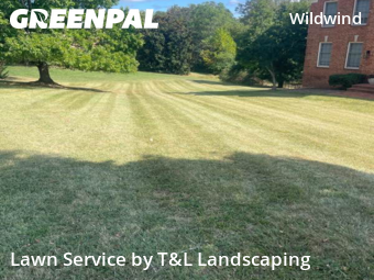Lawn Work in Lynchburg, 24503, Backyard Mowing by T&L Landscaping , work completed in Nov , 2025