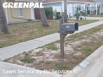 Lawn mowed in Holiday, 34691