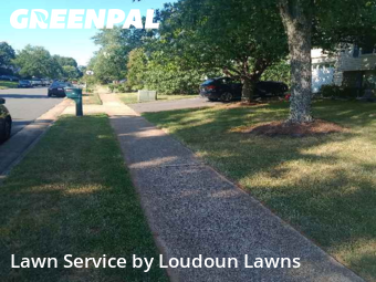 Weekly Mowing in Sterling, 20164, Lawn Mowing by Loudoun Lawns, work completed in Nov , 2025