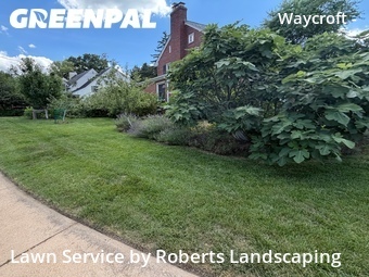 Lawn Cut nearby Arlington, VA, 