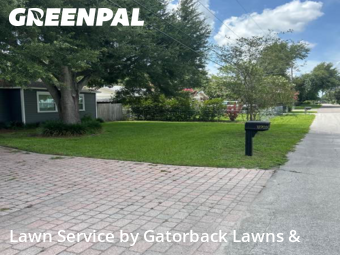 Lawn Maintenance nearby Tampa, FL, 