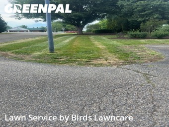 Lawn mowed in Harrisonburg, 22801