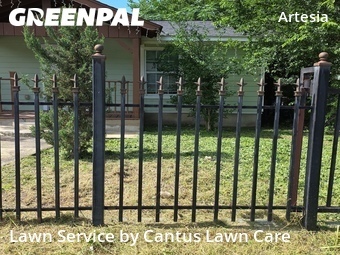 Lawn Mow nearby San Antonio, TX, 