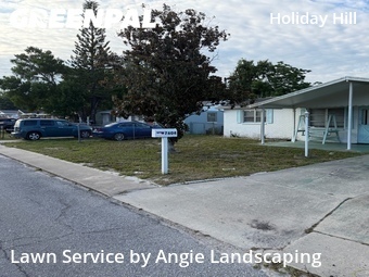 Yard Cutting nearby Port Richey, FL, 