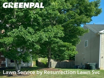Lawn Cut nearby Greensboro, NC, 