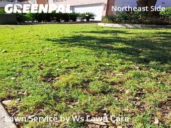 Grass Cutin Schertz,78154,Yard Mowing by Ws Lawn Care, work completed in Dec , 2025