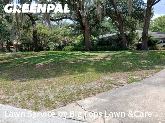 Grass Cut nearby Altamonte Springs, FL, 