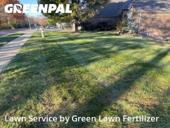 Lawn Cutting nearby Springfield, MO, 