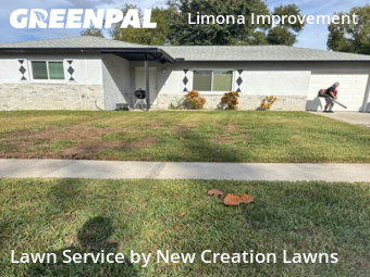 Lawn Mowing Servicein Brandon,33510,Grass Cutting by New Creation Lawns, work completed in Dec , 2025