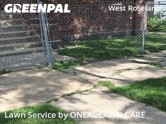 Lawn Service nearby Chicago, IL, 