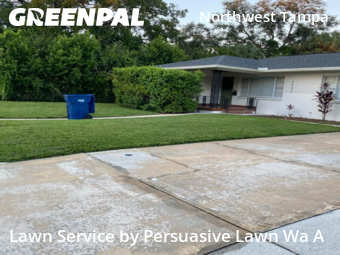 Lawn Cut nearby Tampa, FL, 