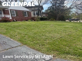 Yard Cutting nearby Webster Groves, MO, 