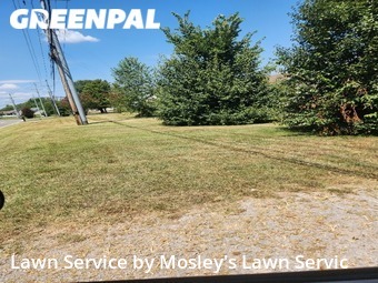 Lawn Maintenance nearby Clarksville, TN, 