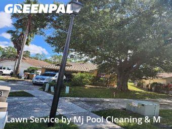 Grass Cut nearby Kissimmee, FL, 